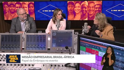 Presidente da Embrapa, Silvia Massruhá, fala sobre a Missão Empresarial Brasil - África 2026