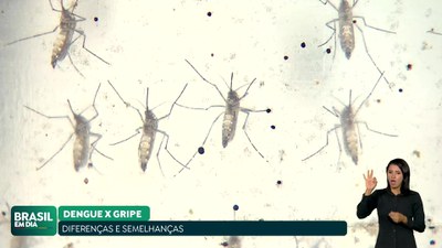 Brasil em Dia – 15/02/24 – Conheça as diferenças e semelhanças entre dengue e gripe