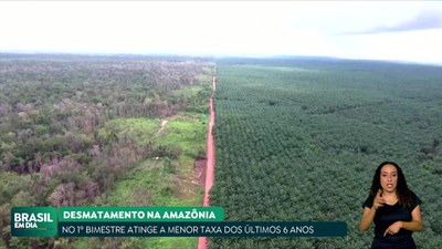 Brasil em Dia - 18/03/24 - Desmatamento da Amazônia atinge a menor taxa dos últimos seis anos