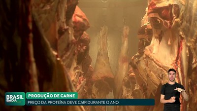 Brasil em Dia - 05/04/24 - Preço da carne deve cair durante o ano