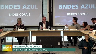 Brasil em Dia - 11/04/24 - BNDES vai destinar R$ 60 milhões para preservação de corais