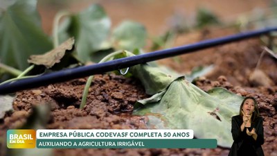Brasil em Dia - 16/04/24 – Agricultura irrigável é foco da atuação da Codevasf e auxilia na produção de alimentos
