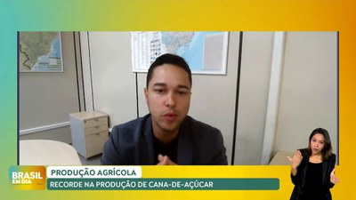 Brasil em Dia – 19/04/24 – Produção de cana-de-açúcar na safra 2023/24 é a maior da série histórica da Conab