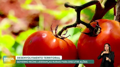 Brasil em Dia – 25/04/24 - Governo colhe sugestões para o desenvolvimento territorial