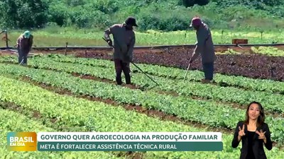 Brasil em Dia – 08/05/24 – Governo quer uso da agroecologia na produção familiar