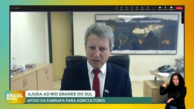 Brasil em Dia - 16/05/24 - Ajuda ao Rio Grande do Sul: Apoio da Embrapa para os produtores