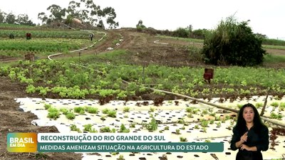 Brasil em Dia - 23/05/24 - Governo Federal orienta prefeituras no cadastro do Auxílio Reconstrução