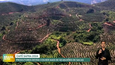 Brasil em Dia – 24/05/24 – Produção de café na safra 2024 é estimada em 58,81 milhões de sacas