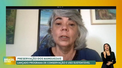 Brasil em Dia – 11/06/24 – Entrevista: MMA explica programa de preservação dos Manguezais