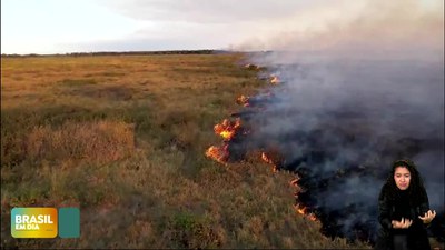 Brasil em Dia – 17/06/24 – Governo Federal cria força-tarefa para combater incêndios no Pantanal