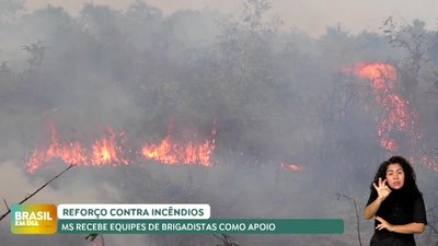 Brasil em Dia – 01/07/24 – MS recebe equipe de brigadistas para apoiar combate a incêndios
