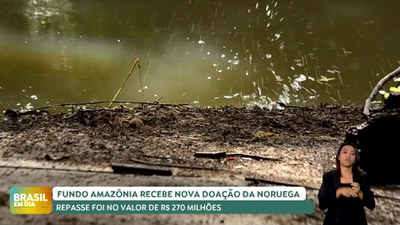 Brasil em Dia – 02/07/24 – Fundo Amazônia recebe repasse de R$ 273 milhões da Noruega