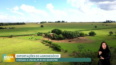 Brasil em Dia - 16/07/24 - Exportações do agronegócio chegam a US$ 82,39 bilhões no semestre