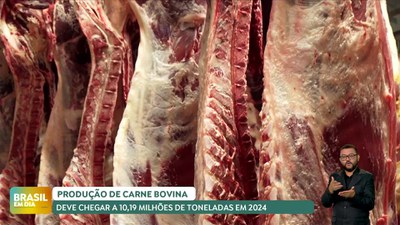 Brasil em Dia - 26/07/24 - Produção de carne bovina deve chegar a 10,19 milhões de toneladas em 2024
