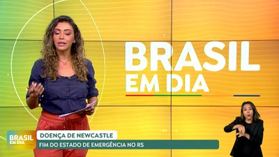 Brasil em Dia - 07/08/24 - Doença de Newcastle: fim do estado de emergência no Rio Grande do Sul