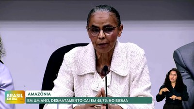 Brasil em Dia – 08/08/24 - Desmatamento na Amazônia tem redução de 45,7%