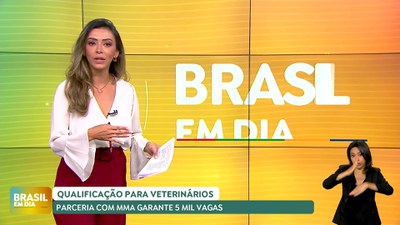 Brasil em Dia – 13/08/24 – Programa oferece curso de qualificação para veterinários em técnica de esterilização cirúrgica