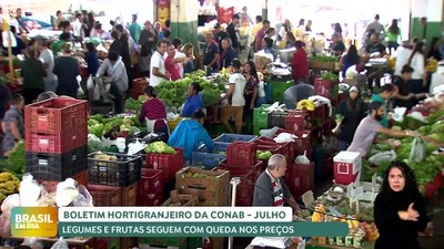 Brasil em Dia – 19/08/24 – Boletim Prohort: hortaliças e frutas seguem com queda de preço em 10 estados