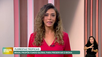 Brasil em Dia – 20/08/24 – Marina Silva destaca proposta de fundo global para preservar florestas tropicais