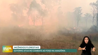 Brasil em Dia – 21/08/24 – Mais de 1.400 brigadistas atuam no combate aos incêndios na Amazônia