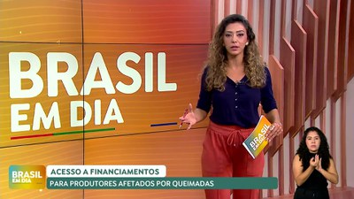 Brasil em Dia – 16/09/24 – Produtores afetadas por queimadas terão acesso ao crédito facilitado