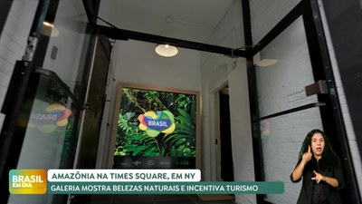 Brasil em Dia - 25/09/24 - Galeria em Nova York promove imersão sensorial na Amazônia e incentiva o turismo