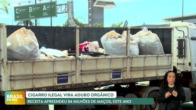 Brasil em Dia - 02/10/24 – Cigarro verde ilegal apreendido pela Receita Federal vira adubo orgânico