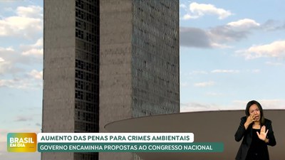 Brasil em Dia – 16/10/24 – Governo envia ao Congresso PL que aumenta punição para crimes ambientais