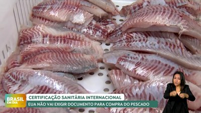 Brasil em Dia – 25/10/24 – EUA deixam de exigir Certificação Sanitária Internacional para pescados brasileiros
