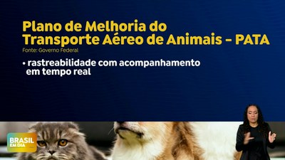Brasil em Dia – 31/10/24 – Governo Federal lança Plano de Transporte Aéreo de Animais