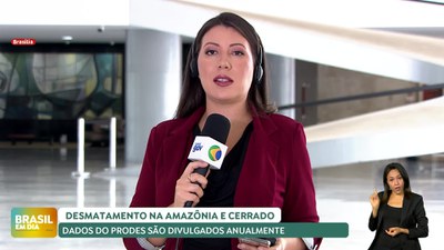 Brasil em Dia - 06/11/2024 - Completo