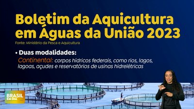 Brasil em Dia – 08/11/24 – Produção de pescado em águas da União tem alta de 3,7% em 2023