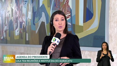 Brasil em Dia - 12/11/2024 - Agenda do Presidente Lula: Confira compromissos presidenciais desta terça