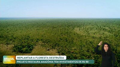 Brasil em Dia - 14/11/24 – Petrobras e BNDES fazem nova parceria para restauração ecológica na Amazônia