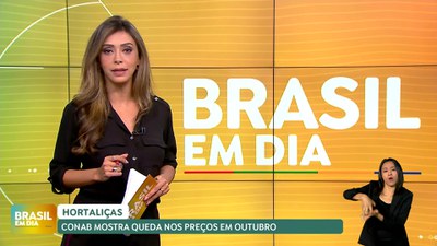 Brasil em Dia -  25/11/24 – Boletim Prohort: Conab registra queda no preço das hortaliças em outubro