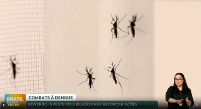 Brasil em Dia -  25/11/24 – Combate à dengue: Ministério da Saúde investe R$ 1,5 bi pra reforçar ações