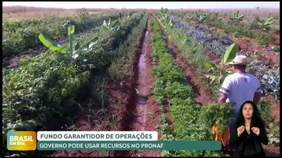 Brasil em Dia – 28/11/24 – Recurso do FGO poderá ser usado para empréstimo do Pronaf