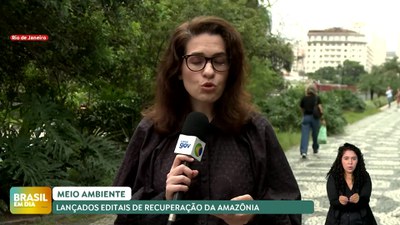 Brasil em Dia – 05/12/24 – Lançados primeiros editais para restauração da Amazônia