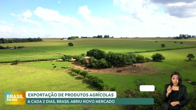 Brasil em Dia – 18/12/24 – Em 2024, a cada dois dias Brasil abriu novo mercado para produtos agrícolas