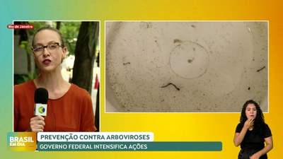 Brasil em Dia - 07/01/25 – Governo Federal intensifica ações de prevenção contra arboviroses