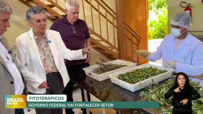 Brasil em Dia 10/2/2025 - MDA quer fortalecer produção e mercado de plantas medicinais