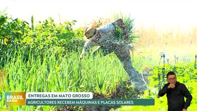 Brasil em Dia – 3/3/25 – Ministro da Agricultura percorre municípios do MT para entregar maquinário