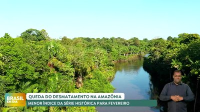 Brasil em Dia – 13/3/2025 – Desmatamento na Amazônia atinge menor índice da série histórica para fevereiro
