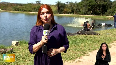 Brasil em Dia - 16/4/2025 - Mercado prevê alta de consumo na Semana Santa