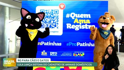 Brasil em Dia - 17/4/2025 - RG para pets: Simpatinhas vai criar cadastro nacional de cães e gatos