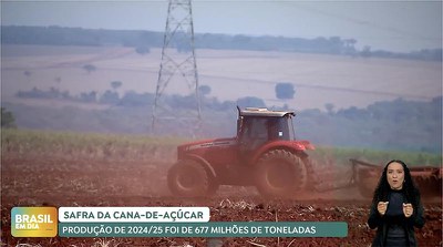 Brasil em Dia 18/4/2025 - Safra de cana-de-açúcar encerrou ciclo 2024-25 com 677 milhões de toneladas