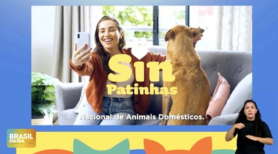 Brasil em Dia 18/4/2025 - Governo Federal lança programas gratuitos de proteção a cães e gatos