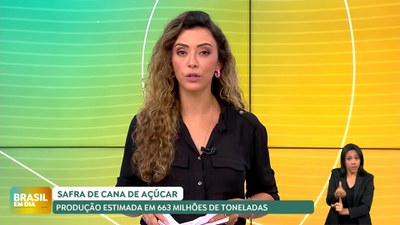Brasil em Dia - 30/4/2025 - Produção de cana-de-açúcar está estimada em 663 milhões de toneladas