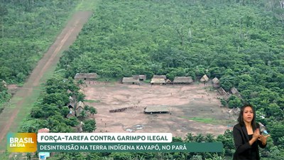 Brasil em Dia - 2/5/2025 - Governo intensifica ações para expulsar garimpo ilegal de Terra Indígena Kayapó