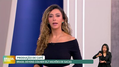 Brasil em Dia - 7/5/2025 - Brasil deve colher 55,7 milhões de sacas de café
